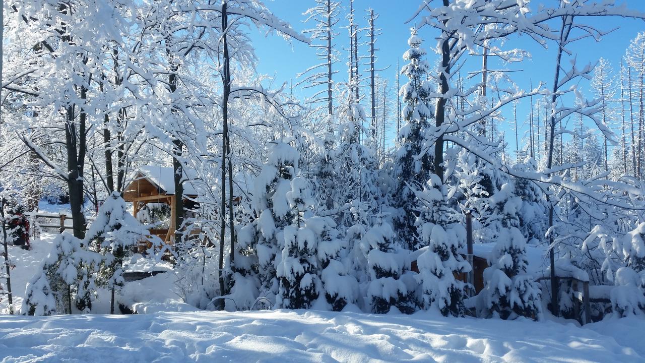 Willa Gusia, Apartamenty Zakopane Exterior foto
